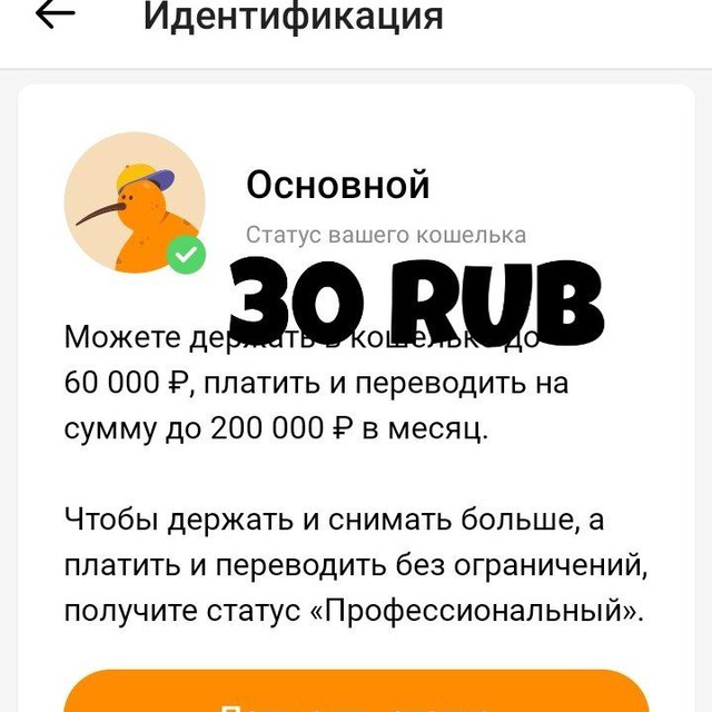 Пройти индификацию