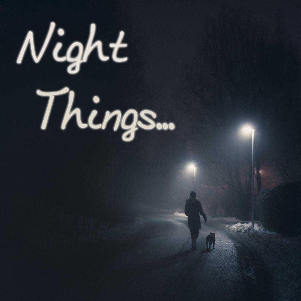 Do the night things