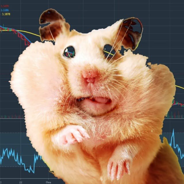 Anti money hamster. Биржевой хомяк. Хомяк Макс. Хомяк лого.