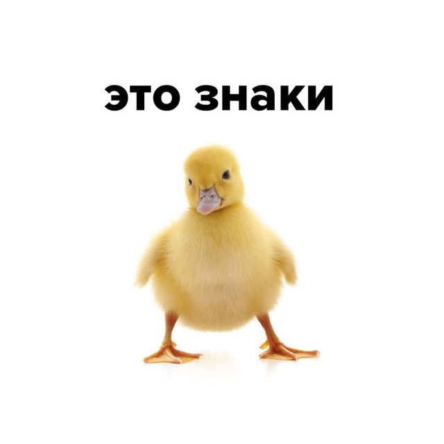 это знаки