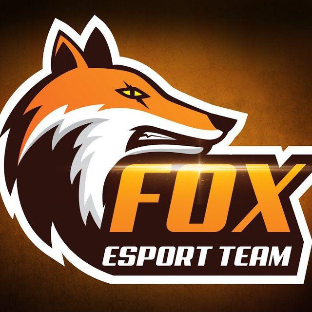 Team fox. Fox команда. Fox Eleven. БАДИ Фокс. Фокс тим Миллерово.