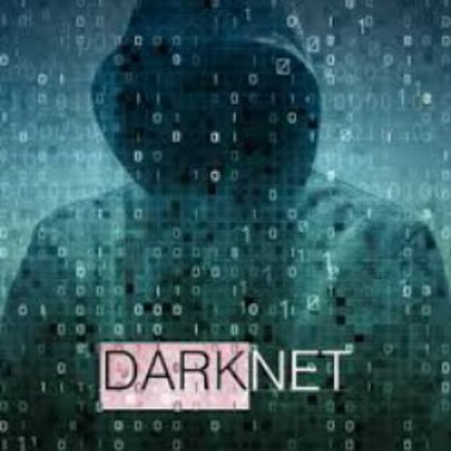 канал darknet