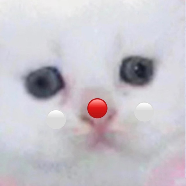 Какой сегодня день.gif