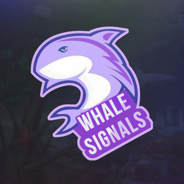 Crypto whale кто это. Crypto Whale. Crypto Kit. Crypto Boss кит VIP. Crypto Whale twitter.