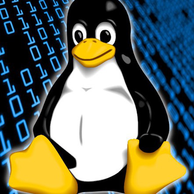 Request linux. Тематика Linux. Линукс бук. День рождения операционной системы Linux картинки. Linux Server.