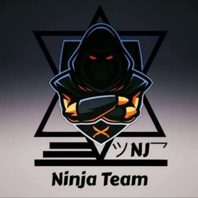 Team ninja проекты