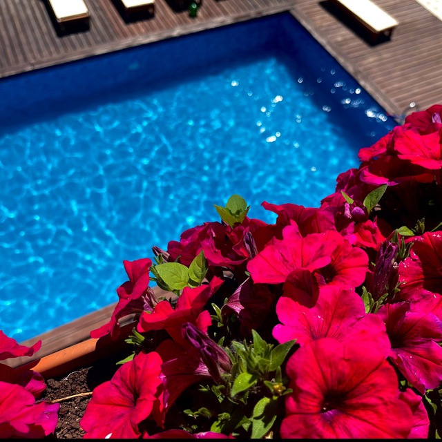 Apsiliya&Alamys Hotels Абхазия