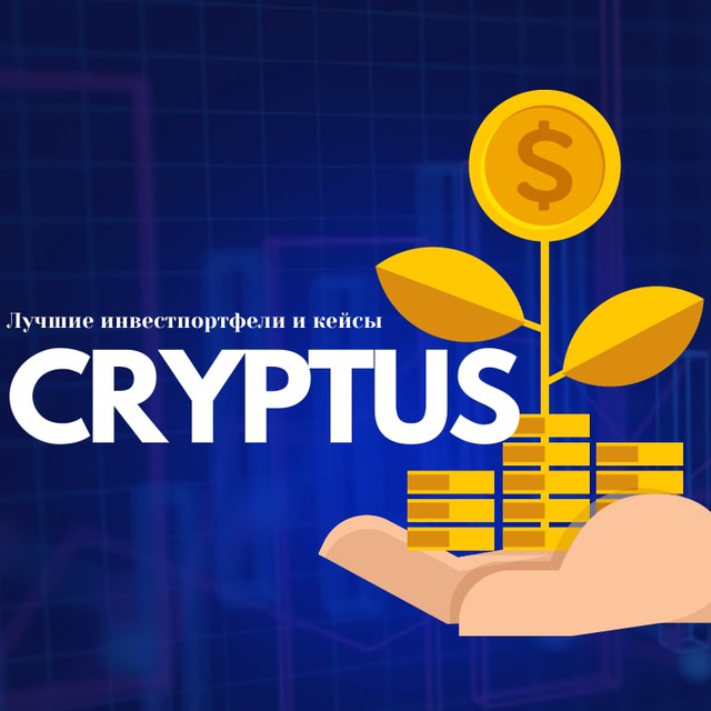 Cryptus academy. Команда cryptus. Cryptus. Cryptus Union.