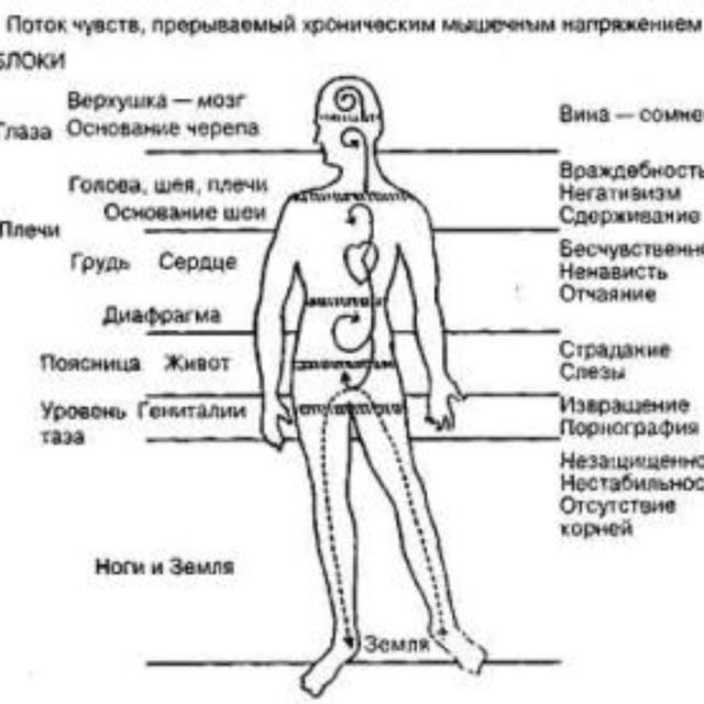 Область чувств