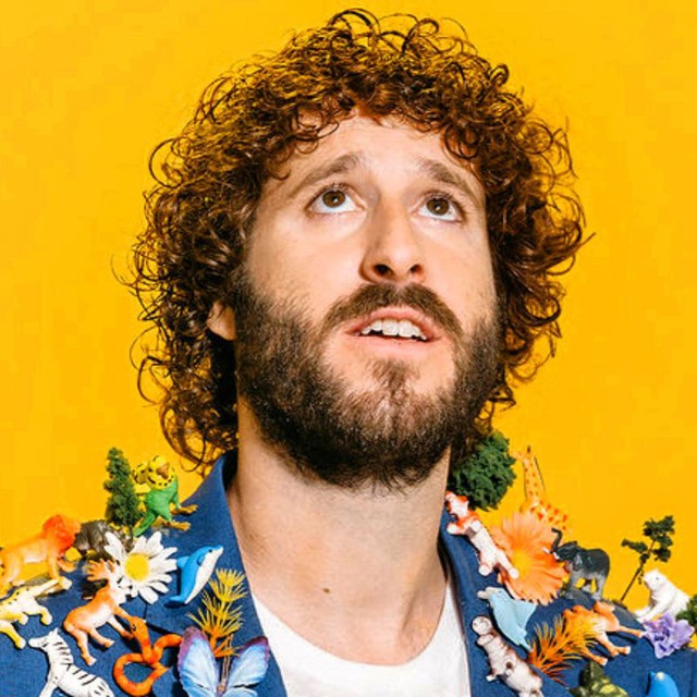 Lil dick. Lil Dicky. Lil Dicky album Cover.