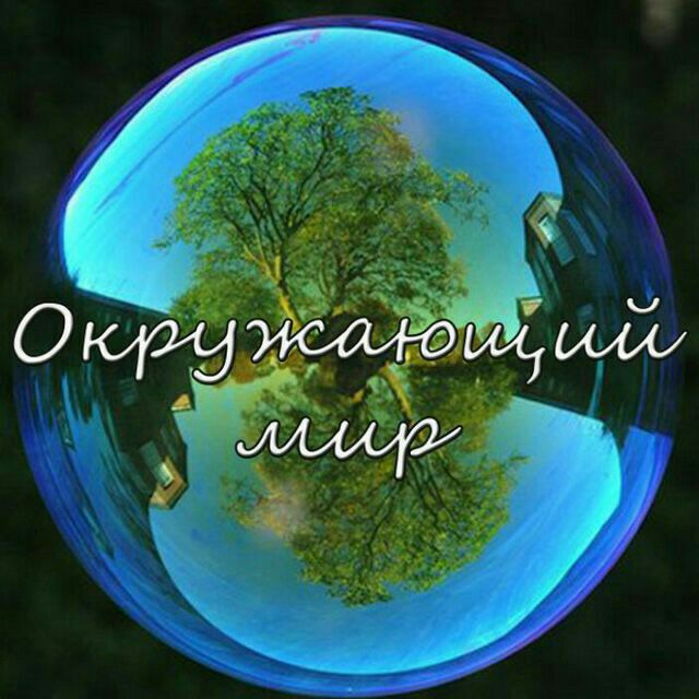 Картинка окружающий мир