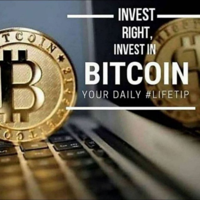Bitcoin-Investitionskanäle auf Telegramm)