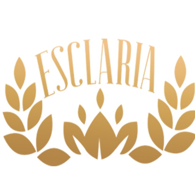 Esclaria Team