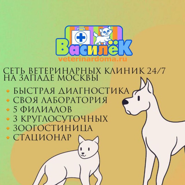 Ветклиника василек