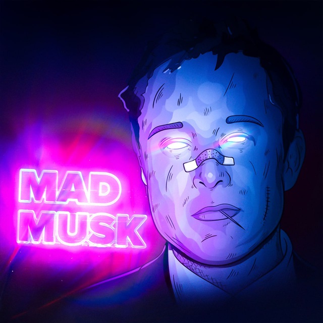 MAD MUSK | ТЕНЕВОЙ ПРОЕКТ