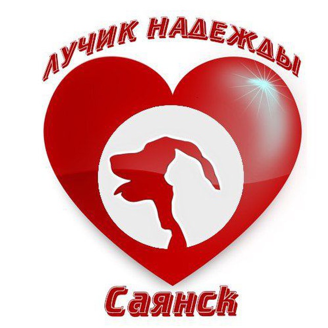 Лучик Надежды. г. Саянск.