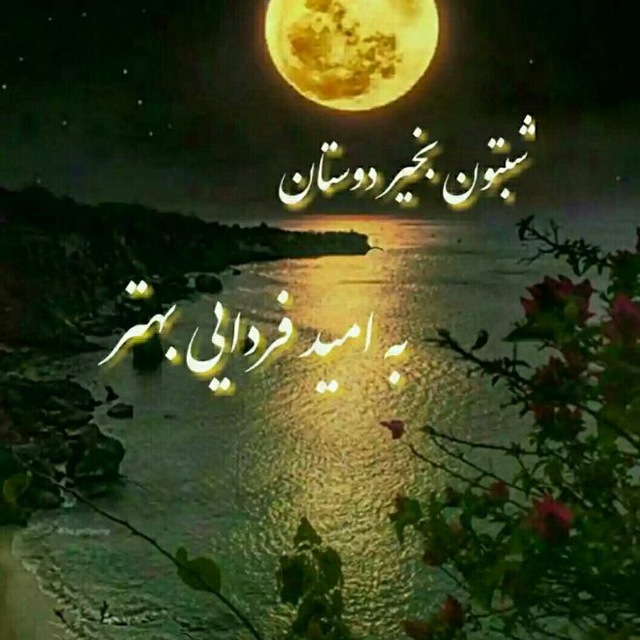 کانال شب بخیر Shabbakhir Post 849