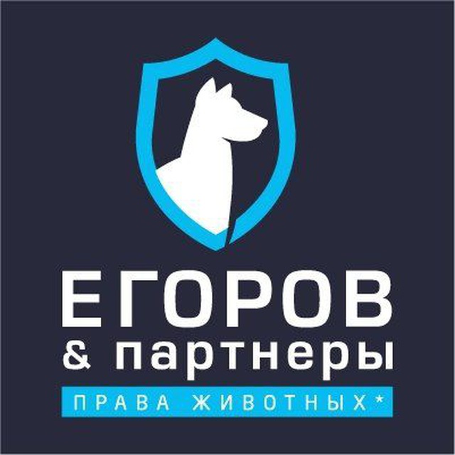 Егоров и партнёры. Защита прав животных????‍??