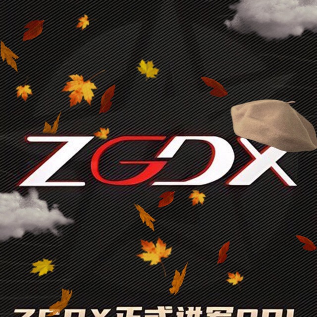 ?ZGDX GAMING?