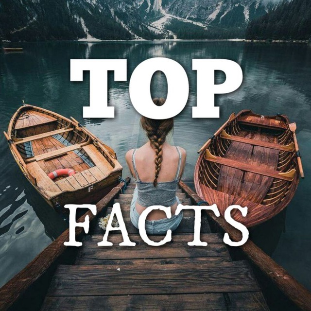 Топ факт. Fact топ. Топ интересных фактов. Канал топ факт. Топ факты логотип.