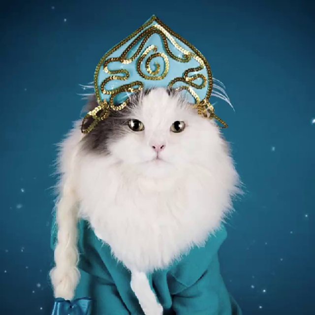 Кошка в костюме снегурочки