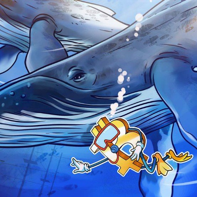 Crypto whale в хомяке. Serj Whale Crypto. Crypto Whale twitter.