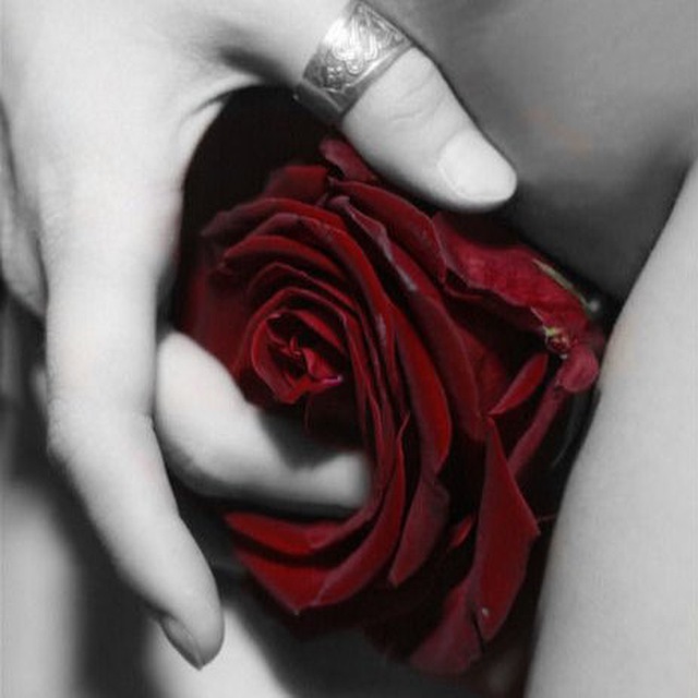Половые розочки. Пальцы в Розе цветке. Пальцы в бутоне розы. Чувственные цветы.