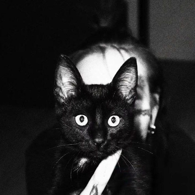 мишелим