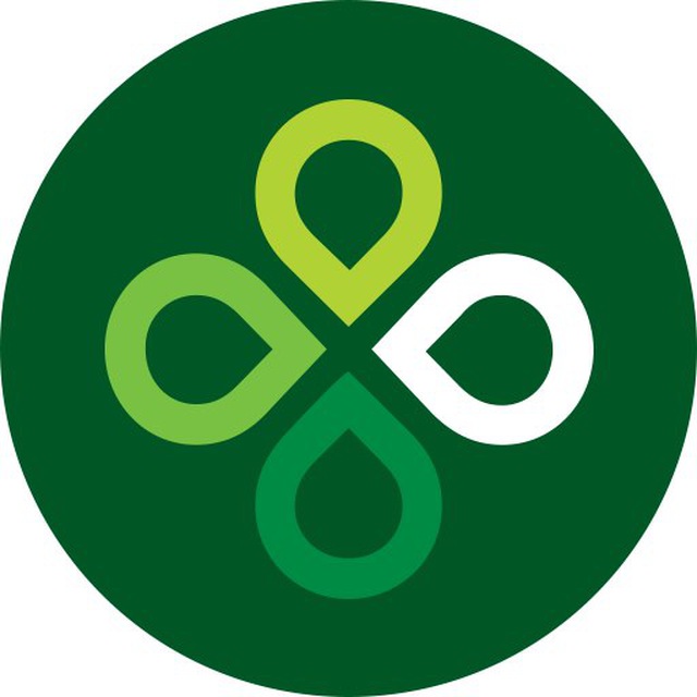 tworzenie logo darmowe torrenty