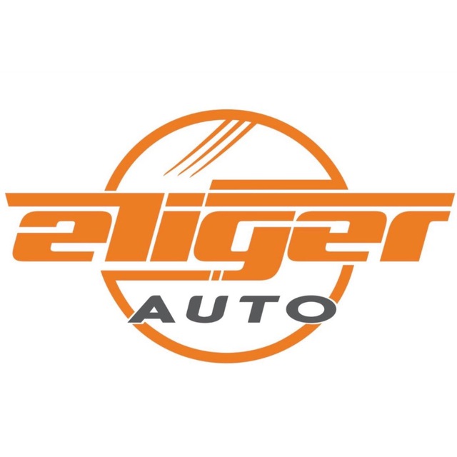 ETIGER AUTO- Автомобили из Китая