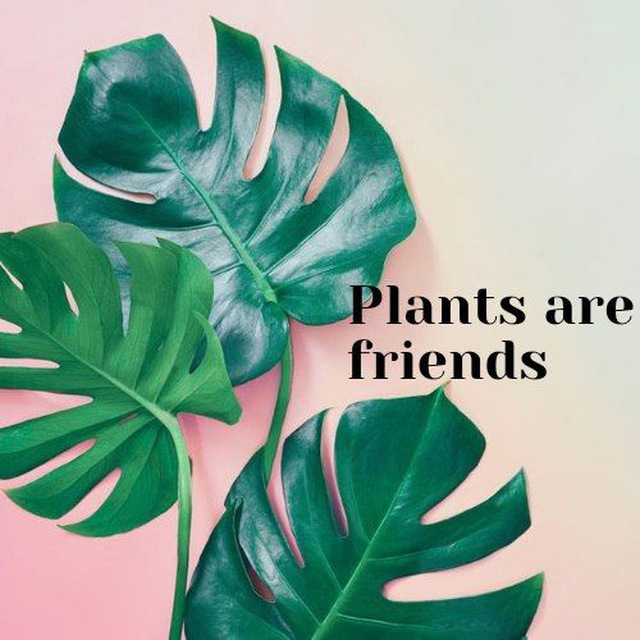 Plants and friends. Plants are friends.