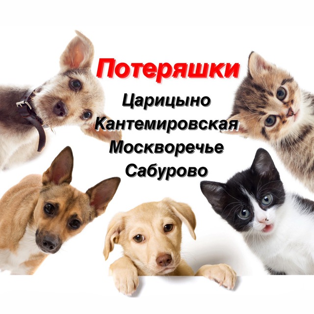 Потеряшки москва