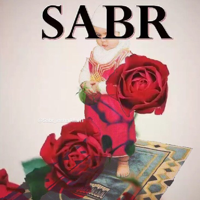 Красивые картинки sabr