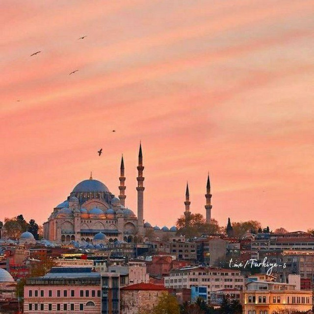 Стамбул Турция. Истанбул Турция. Виды Стамбула. Мечеть в Стамбуле.