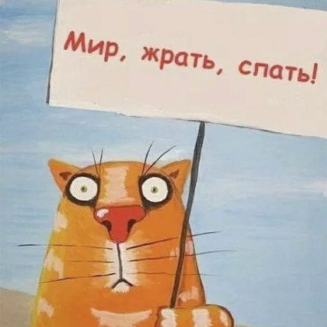 КотоNEWS ?