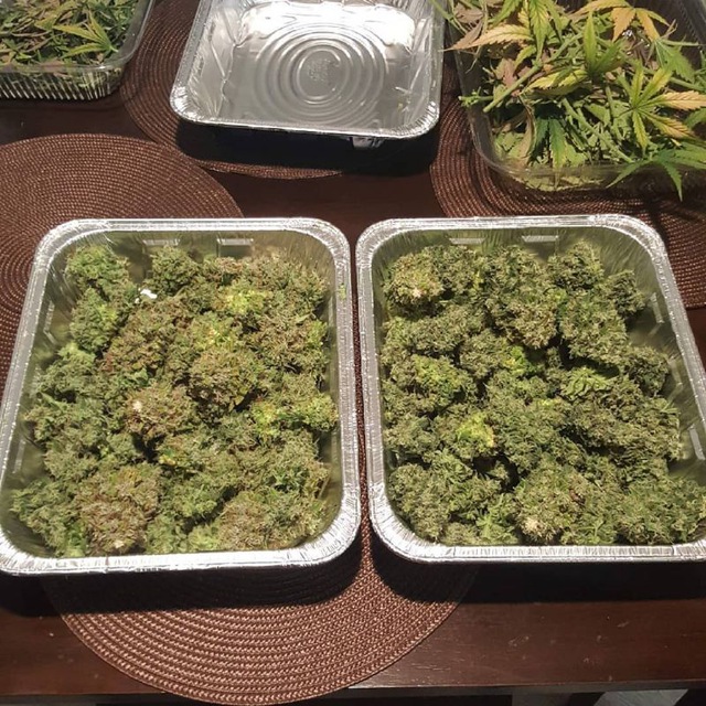Купить марихуаны владивосток выращивание марихуаны в темноте