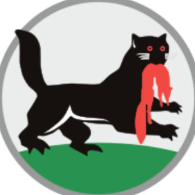 Лайков иркутск. Irkutsk News логотип. Логотип Иркутска зверек. Ретро Иркутск логотип. Иркутск Нью