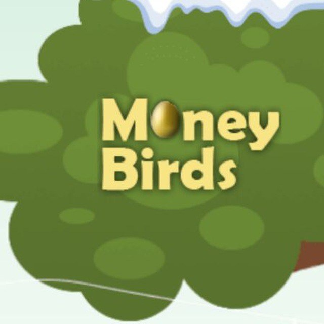 Money birds anshen buxin wan