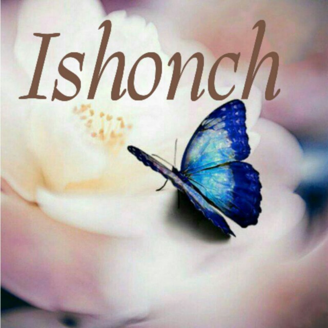 Ishonch 67 Statistika Kanala Ishonch Telegram Analytics