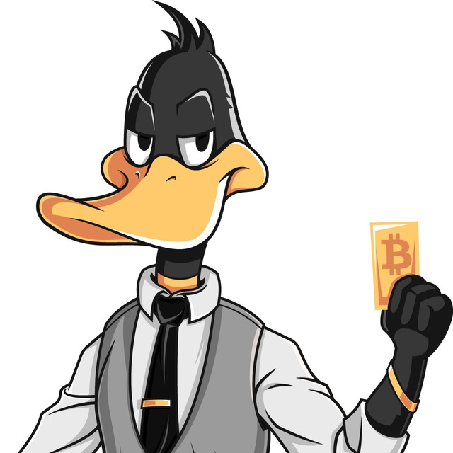 Duck detective. Даффи дак мафиози. Даффи дак арт. Даффи дак крутой.