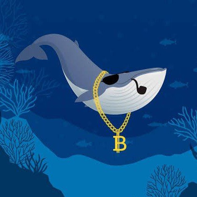 Crypto whale hamster. Крипто кит. BTC Whale.