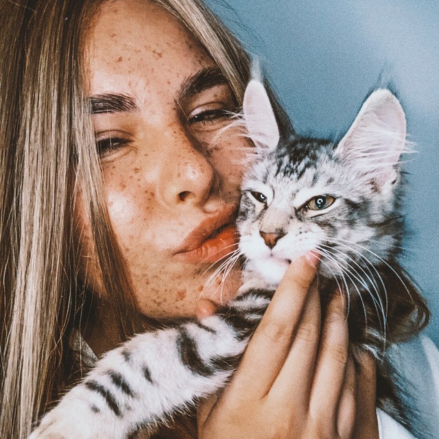 МАТЬ КОТОВ
