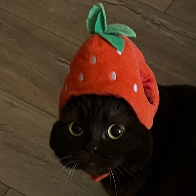 Kirochka