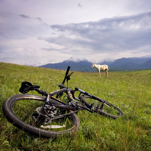 Телеграм кыргызстан. Велотур по Киргизии. Велотуры по Кыргызстану. Explore Kyrgyzstan. Iron Horse logo.