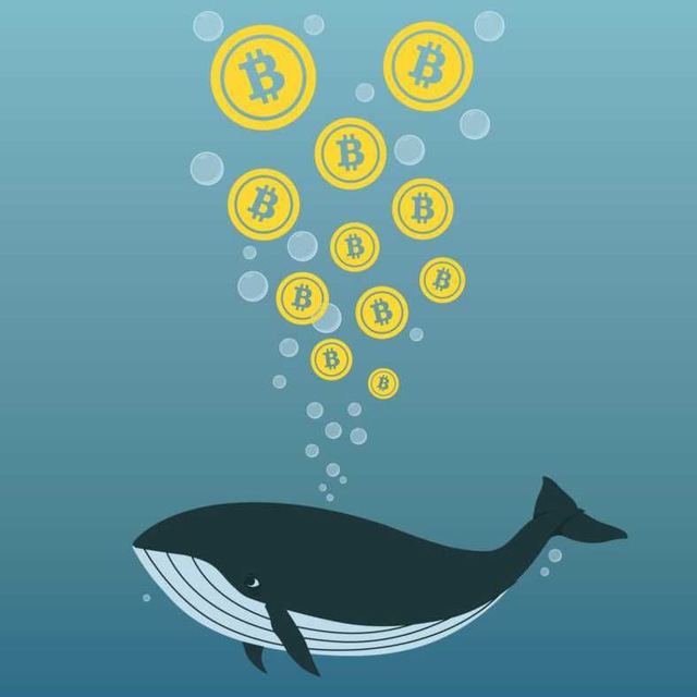 Crypto whale кто это. Киты. Крипто кит. Bitcoin кит. Киты на бирже.