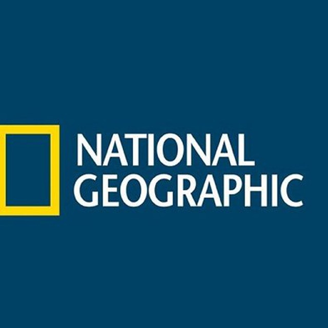 Geographic channel. National Geographic Телеканал. National Geographic channel HD канал заставка. National Geographic channel logo. Logo National Geographic channel Behance.