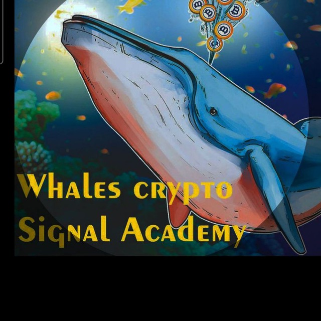 Crypto Whale.