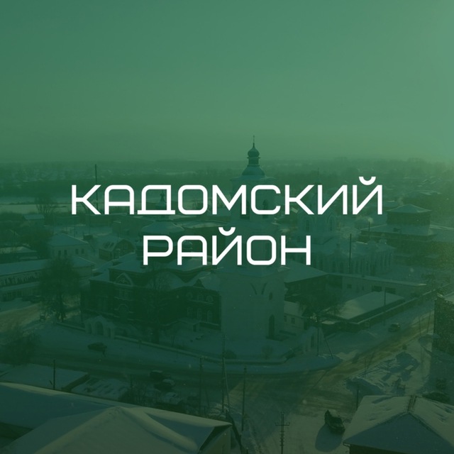 Кадомский район