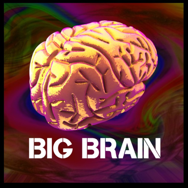 Large brain. Биг Брейн. Big Brain обзорщик. Человек big Brain. Big Braun.